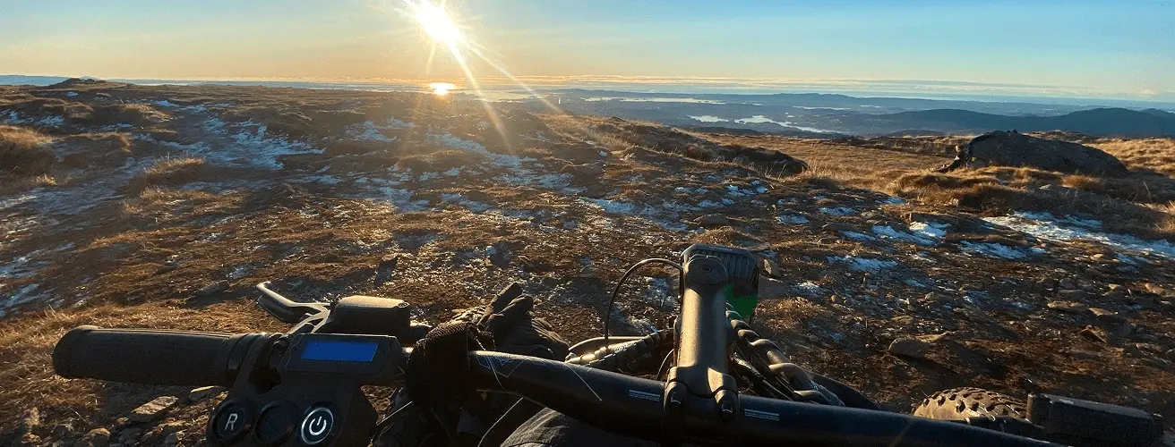 Rectangle 17 (3) (1)